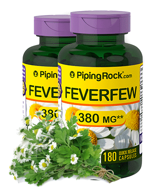 Feverfew