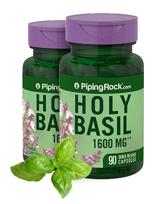 Holy Basil