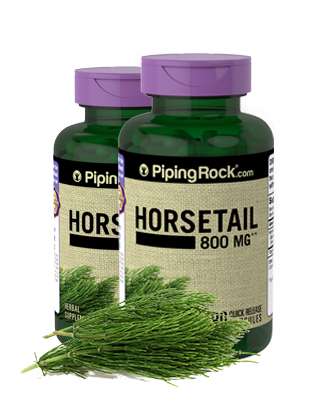 Horsetail