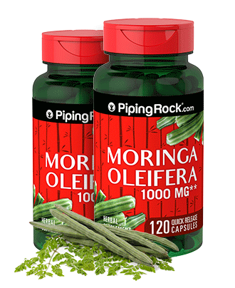 Moringa Oleifera