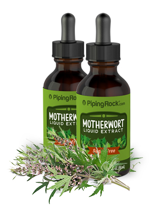 Motherwort